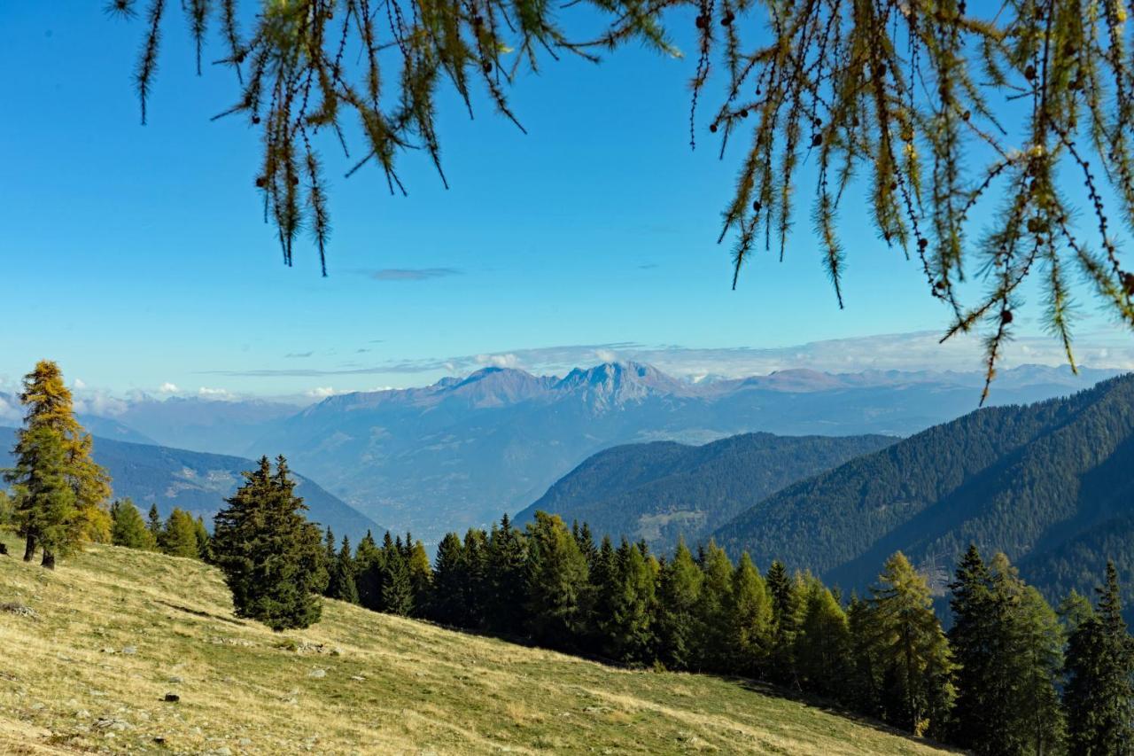 Hotel Alpenhof 欧缇莫 外观 照片
